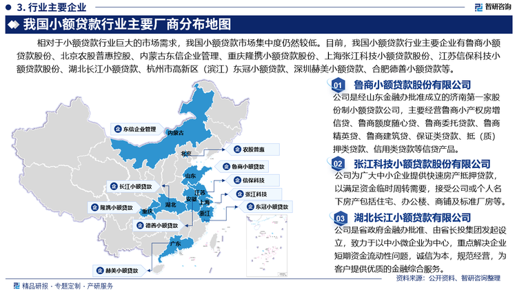 相对于小额贷款行业巨大的市场需求，我国小额贷款市场集中度仍然较低。目前，我国小额贷款行业主要企业有鲁商小额贷款股份有限公司、北京农股普惠控股有限公司、内蒙古东信企业管理有限责任公司、重庆隆携小额贷款股份有限公司、上海张江科技小额贷款股份有限公司、江苏信保科技小额贷款股份有限公司、湖北长江小额贷款有限公司、杭州市高新区（滨江）东冠小额贷款股份有限公司、深圳赫美小额贷款股份有限公司、合肥德善小额贷款股份有限公司等。